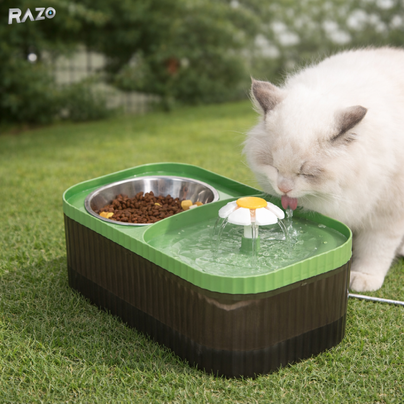 Text alternativ implicit