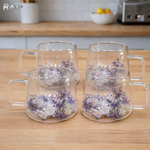 Set 4 cani sticla pereti dubli Violet 250 ml RAZO, Flori uscate naturale, Design elegant decorativ, Flori violete, albe